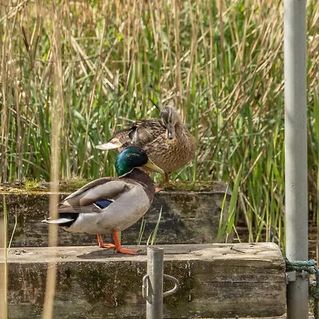 The Old Mill - By The - 2 Bedroom Apartment